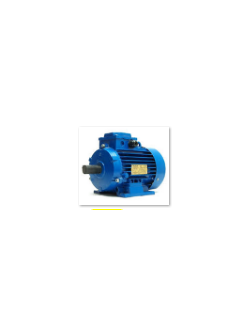 Motor 0,75 CV x 1000 x B3 Trif